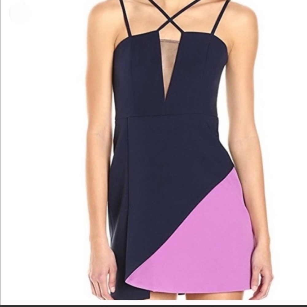 BCBGMaxAzria Linzee dress in navy and purple